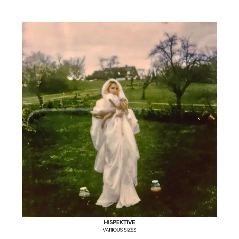Hispektive